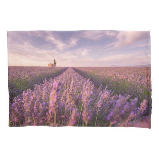 Bloemen | Lavender Southern France Kussensloop (Voorkant)