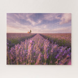 Bloemen   Lavender Southern France Legpuzzel