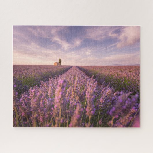 Bloemen | Lavender Southern France Legpuzzel (Horizontaal)