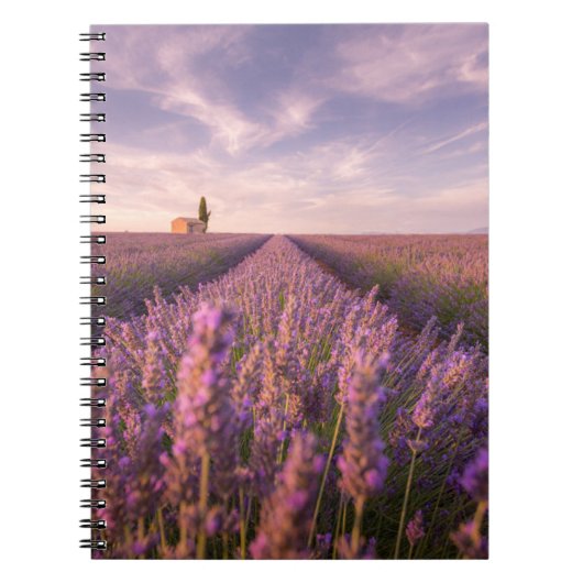 Bloemen | Lavender Southern France Notitieboek (Voorkant)