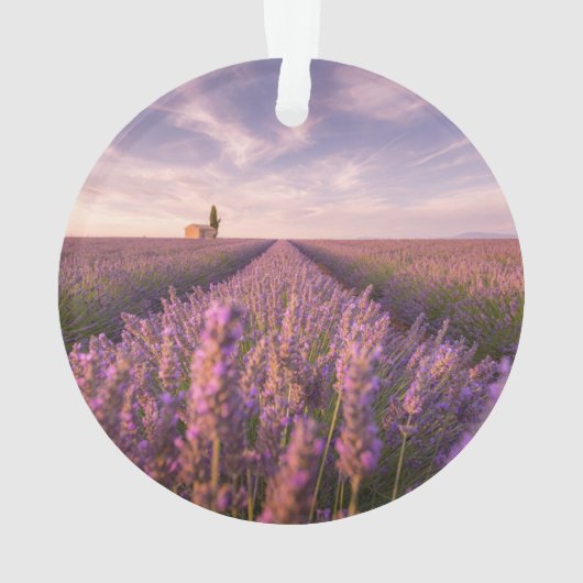 Bloemen | Lavender Southern France Ornament (achterkant)