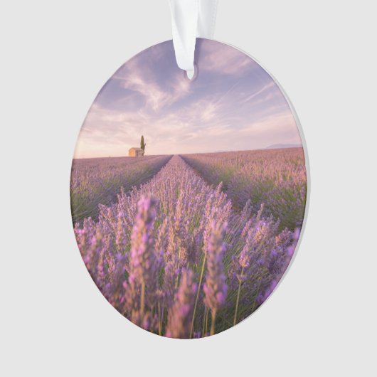 Bloemen | Lavender Southern France Ornament (voorkant)