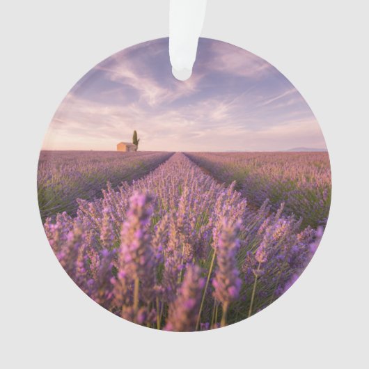 Bloemen | Lavender Southern France Ornament (voorkant)