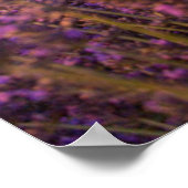 Bloemen | Lavender Southern France Poster (Hoek)