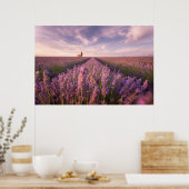 Bloemen | Lavender Southern France Poster (Keuken)