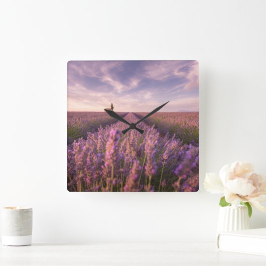 Bloemen | Lavender Southern France Vierkante Klok (Huis)