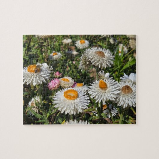 Bloemen Legpuzzel (Horizontaal)