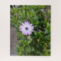 Bloemen 