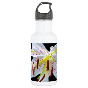 Bloemen Lelies Bloesems Bruiloft Bruidsfeest Liefd Waterfles
