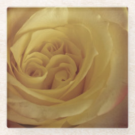 Bloemen Licht Geel Rose Foto Mooie Bloem Glazen Onderzetter