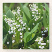 Bloemen | Lily van de Valley Zweden Glazen Onderzetter (Voorkant)