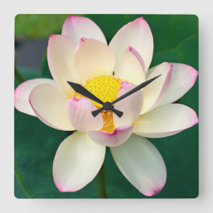 Bloemen   Lotus Water Flower Vierkante Klok