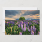 Bloemen | Lupine Field in Nieuw-Zeeland Bedankkaart (Voorkant)