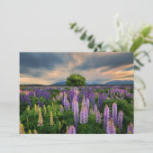 Bloemen | Lupine Field in Nieuw-Zeeland Bedankkaart (Staand voorkant)