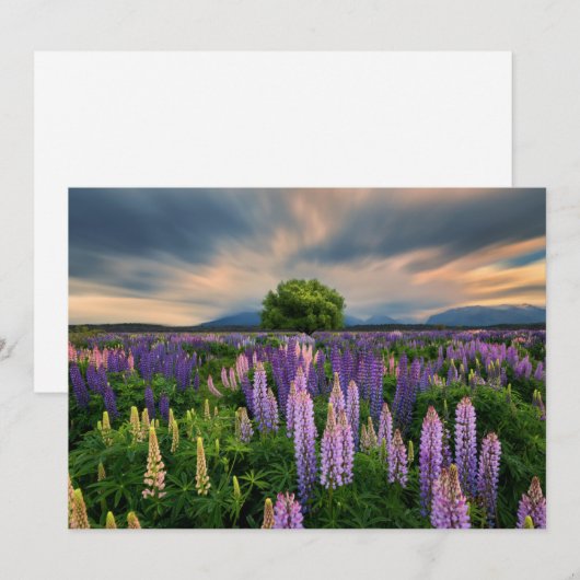 Bloemen | Lupine Field in Nieuw-Zeeland Bedankkaart (Voorkant / Achterkant)