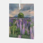 Bloemen | Lupine Field in Nieuw-Zeeland Glas Ornament (Voorkant links)