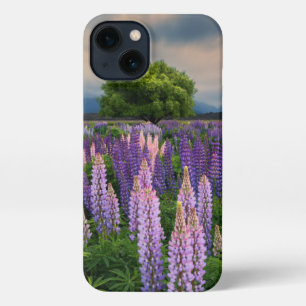 Bloemen Lupine Field in Nieuw-Zeeland iPhone 13 Hoesje