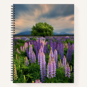 Bloemen   Lupine Field in Nieuw-Zeeland Notitieboek