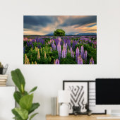 Bloemen | Lupine Field in Nieuw-Zeeland Poster (Thuiskantoor)