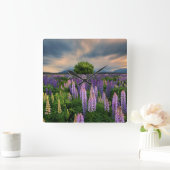 Bloemen | Lupine Field in Nieuw-Zeeland Vierkante Klok (Huis)