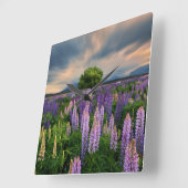 Bloemen | Lupine Field in Nieuw-Zeeland Vierkante Klok (Hoek)