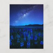 Bloemen | Lupines bloeien bij het Night Lake Tekap Briefkaart (Voorkant)