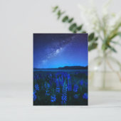 Bloemen | Lupines bloeien bij het Night Lake Tekap Briefkaart (Staand voorkant)