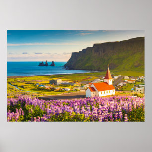 Bloemen   Lupines in Bloom Zuid-IJsland Poster