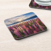 Bloemen | Lupines Nieuw-Zeeland Bier Onderzetter (Linkerzijde)