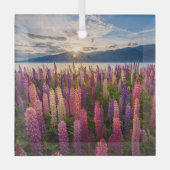 Bloemen | Lupines Nieuw-Zeeland Glas Ornament (Voorkant)