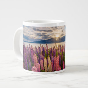 Bloemen   Lupines Nieuw-Zeeland Grote Koffiekop