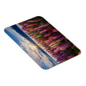 Bloemen | Lupines Nieuw-Zeeland Magneet (Rechterzijde)