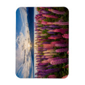 Bloemen | Lupines Nieuw-Zeeland Magneet (Verticaal)