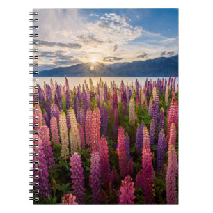 Bloemen Lupines Nieuw-Zeeland Notitieboek