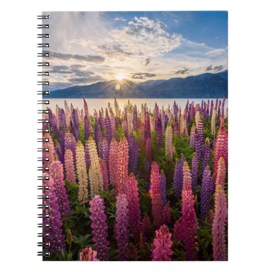 Bloemen | Lupines Nieuw-Zeeland Notitieboek (Voorkant)