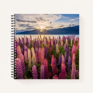 Bloemen   Lupines Nieuw-Zeeland Notitieboek