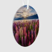 Bloemen | Lupines Nieuw-Zeeland Ornament (voorkant)