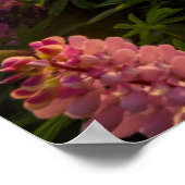 Bloemen | Lupines Nieuw-Zeeland Poster (Hoek)