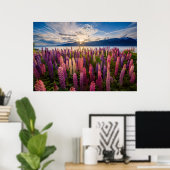 Bloemen | Lupines Nieuw-Zeeland Poster (Thuiskantoor)
