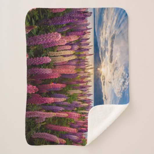 Bloemen | Lupines Nieuw-Zeeland Sherpa Deken (Voorkant)