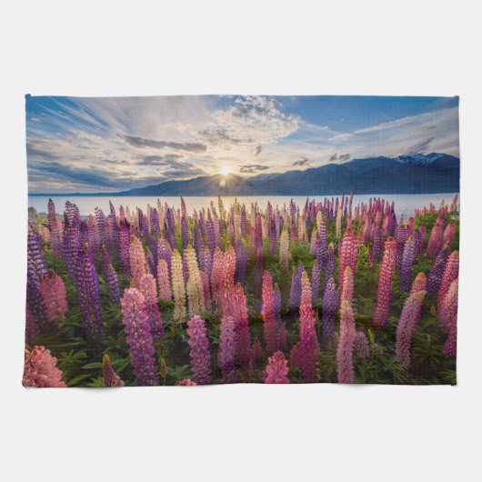Bloemen | Lupines Nieuw-Zeeland Theedoek (Horizontaal)