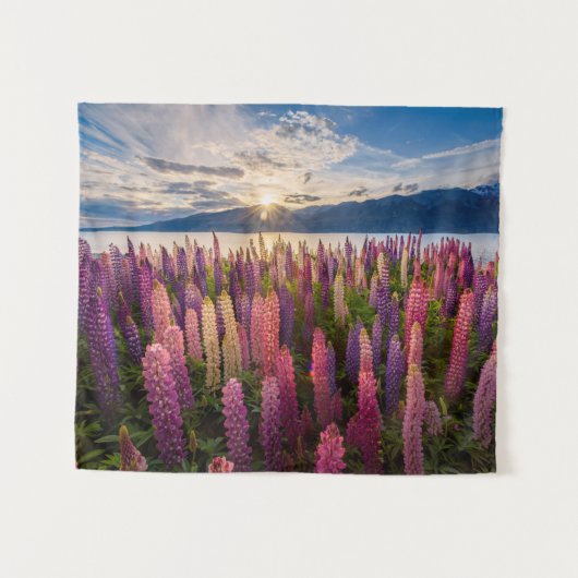 Bloemen | Lupines Nieuw-Zeeland Wandkleed (Voorkant (horizontaal))