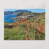 Bloemen | Madeira Briefkaart (Voorkant)