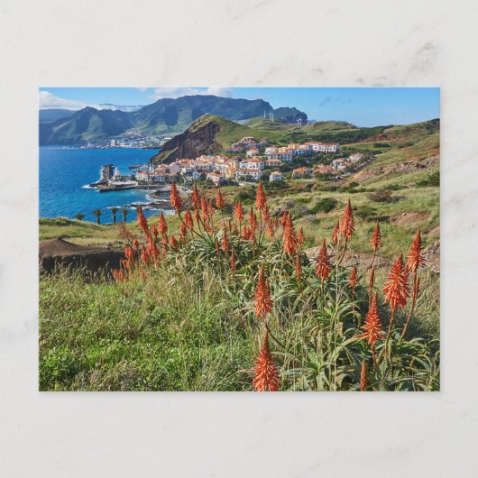 Bloemen | Madeira Briefkaart (Voorkant)
