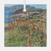 Bloemen | Madeira Glas Ornament (Voorkant)