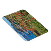 Bloemen | Madeira Magneet (Rechterzijde)