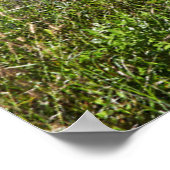 Bloemen | Madeira Poster (Hoek)