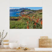 Bloemen | Madeira Poster (Keuken)