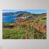 Bloemen | Madeira Poster (Voorkant)