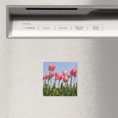 Bloemen Magneet (Insitu (Vaatwasser))